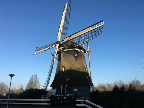 Watermolen de 1200 Roe